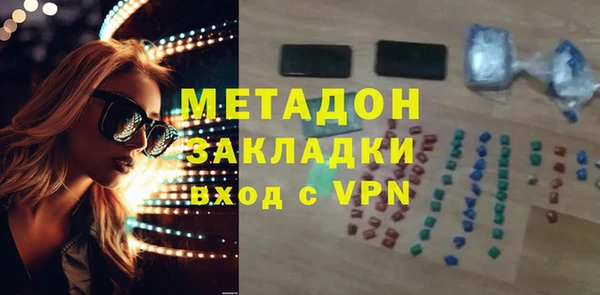прущие грибы Великий Новгород