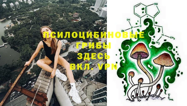 соль курить ск Краснослободск